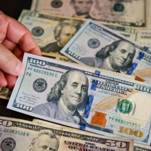 Câinele care a mâncat 4.000 de dolari